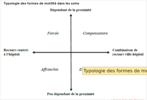 Figure : Formes de mobilités dans les soins
